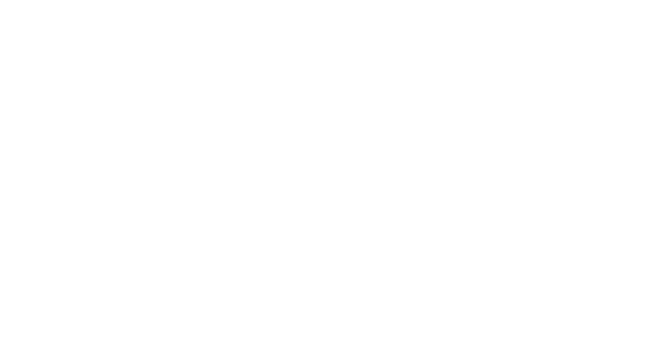 Tokyo Drifter logo