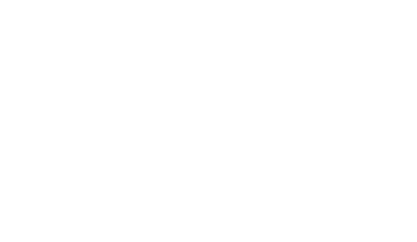 365 Days logo