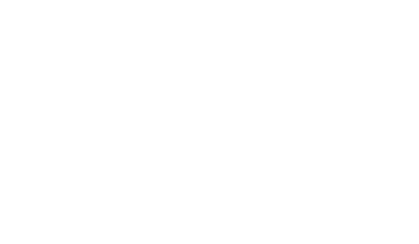 Dragon: The Bruce Lee Story logo