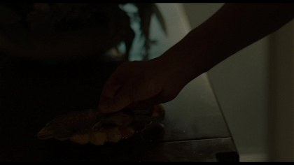 Poster for www UIndex org    -    Life After Beth (2014)