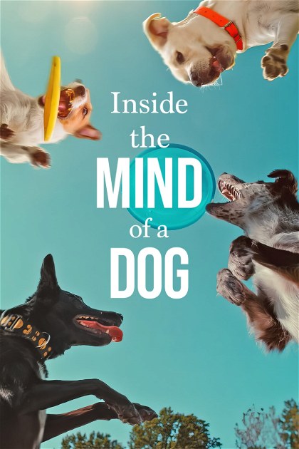 Poster for Inside the Mind of a Dog