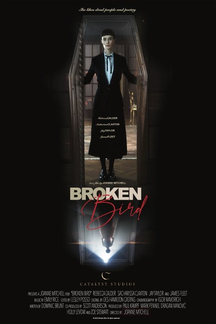 Poster for Broken Bird