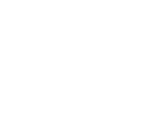 Bolt logo