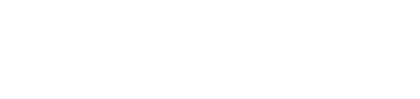 Love and Anarchy logo