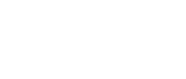 The Art of the Steal logo