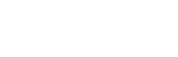 The Virgin Suicides logo