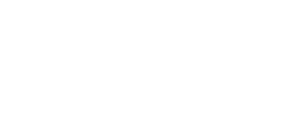 The Duel logo