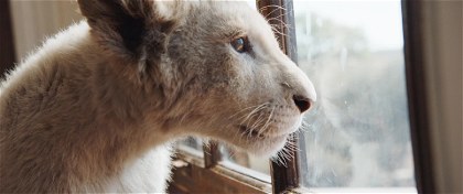 Poster for ??? ? ????? ??? (2018)