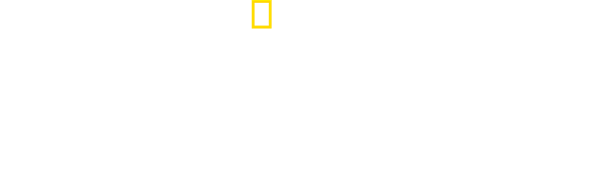 MARS: Inside SpaceX logo