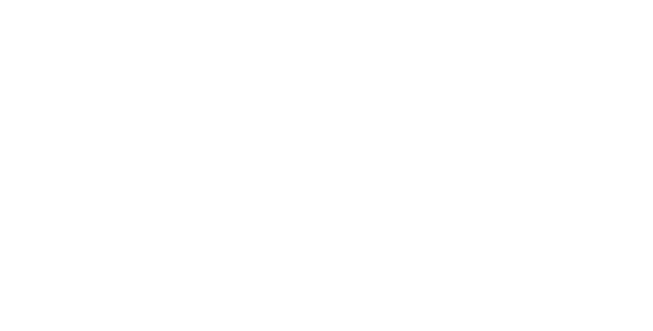 Equinox Flower logo