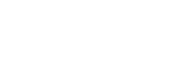 Ali logo