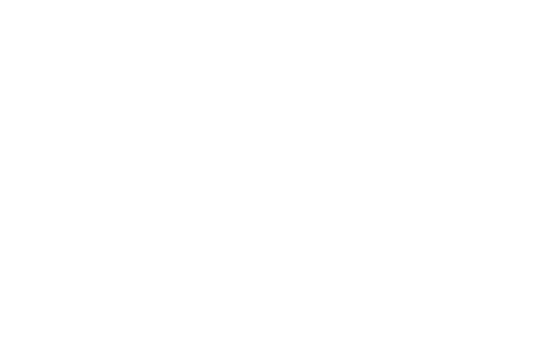 The Mirror Has Two Faces logo