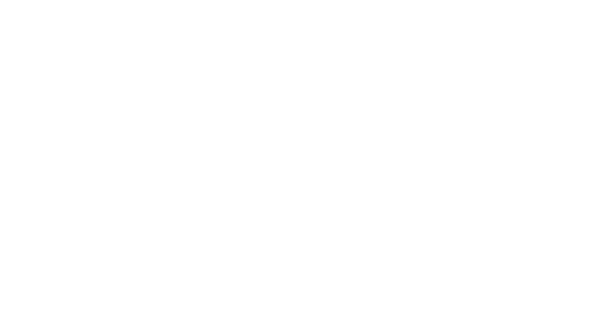 The Wedding Veil Journey logo