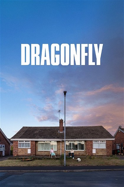 Poster for Dragonfly