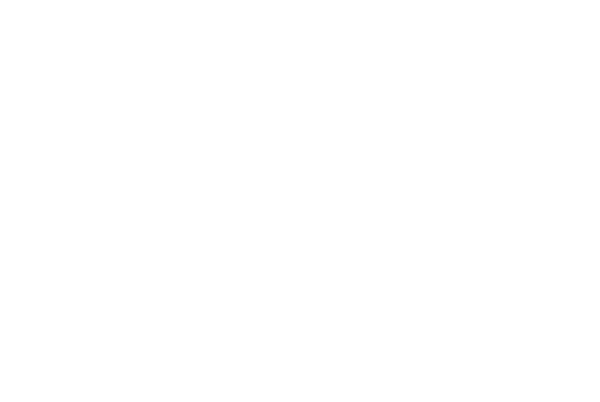 The Man with the Iron Heart logo