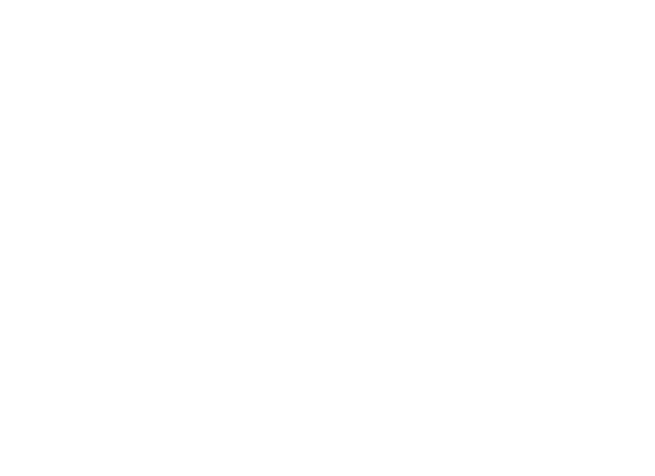 Blind Fury logo