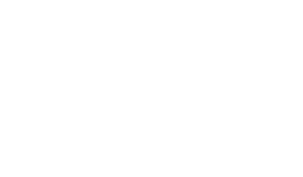The Three Musketeers: D'Artagnan logo