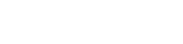 Persona logo