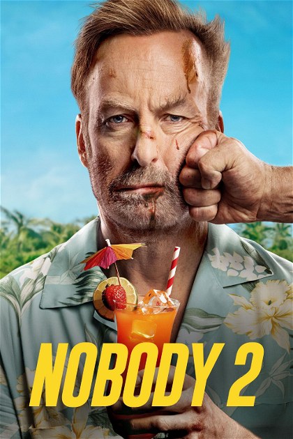 Poster for Nobody 2