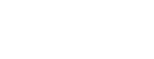 Mad Detective logo