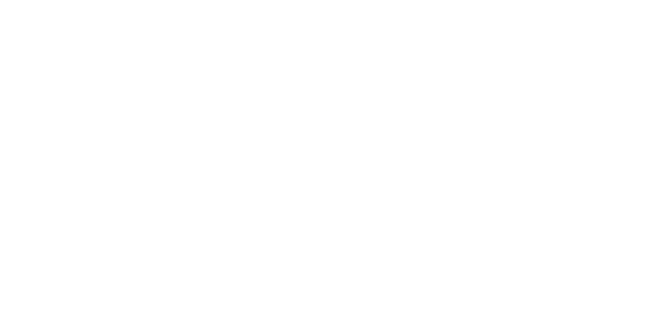 Shanghai Express logo