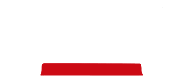 The Entity logo